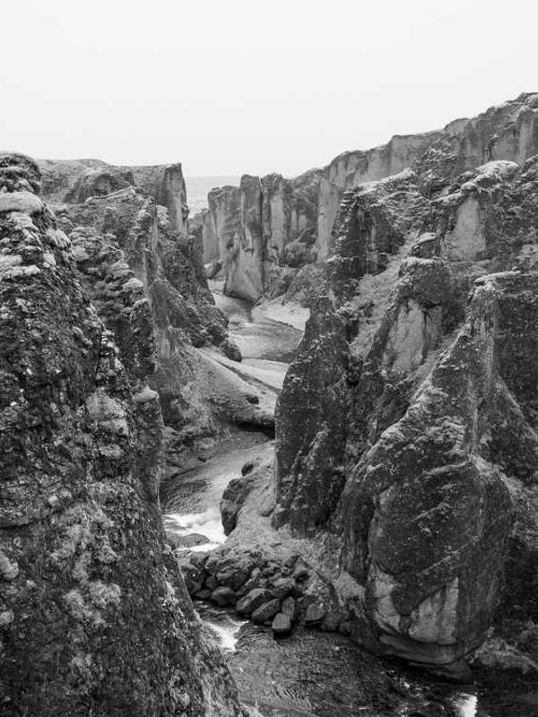 Looking for sustenance