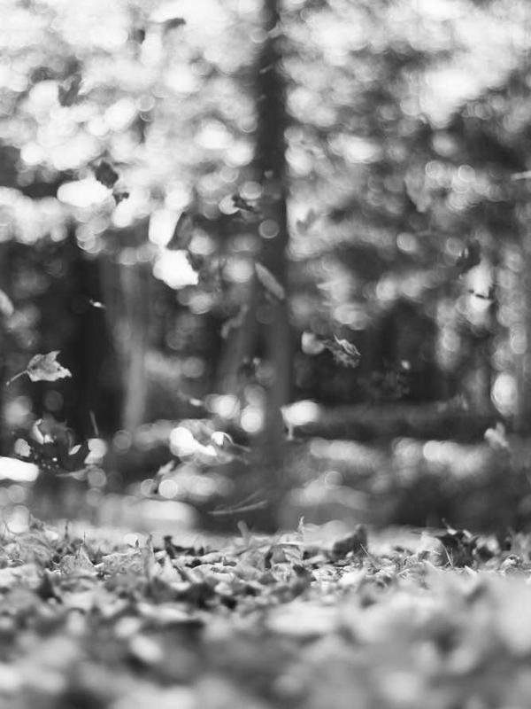 Quantum I: The Warp Drive