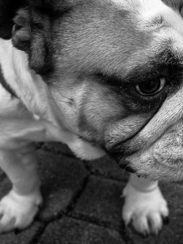 Globetrotter V: The Statue's Torch